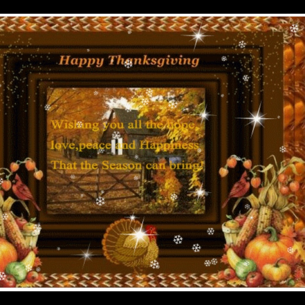 Happy Thanksgiving 🦃 🍽